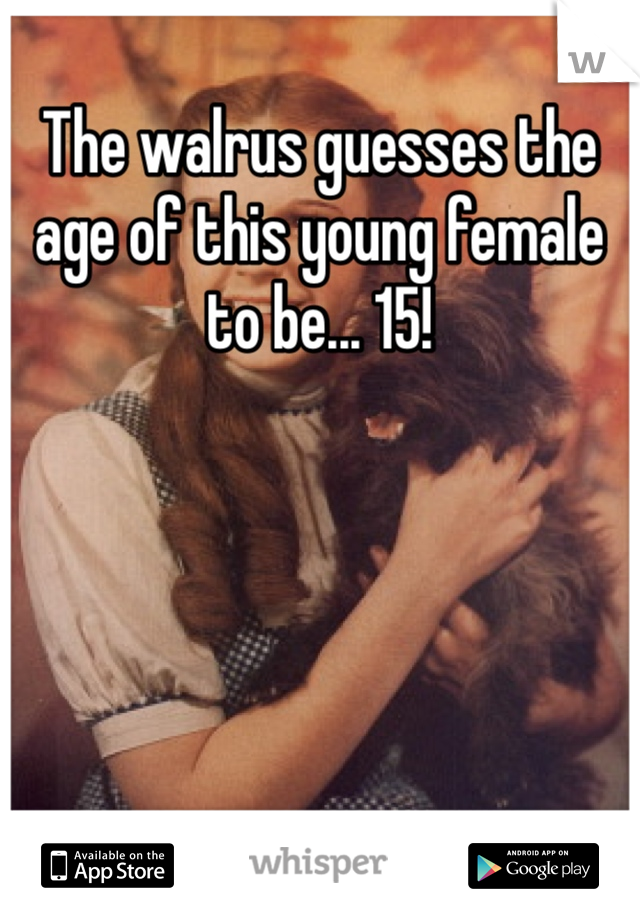 The walrus guesses the age of this young female to be... 15!