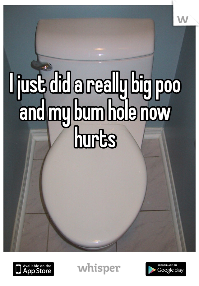 I just did a really big poo and my bum hole now hurts 
