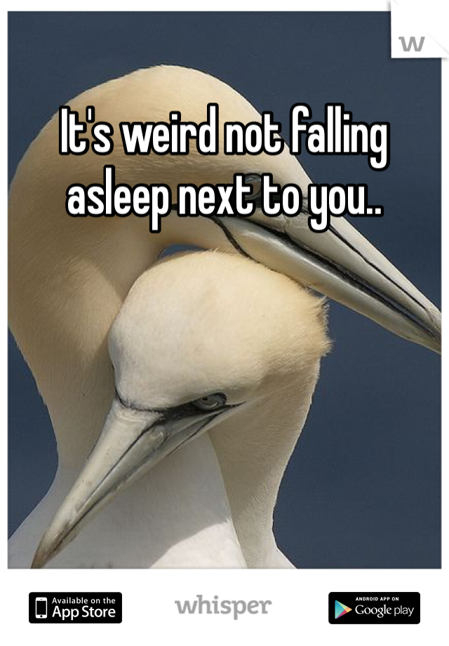 It's weird not falling asleep next to you..