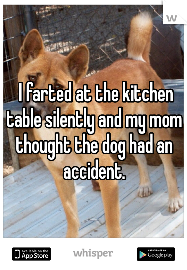  I farted at the kitchen table silently and my mom thought the dog had an accident.