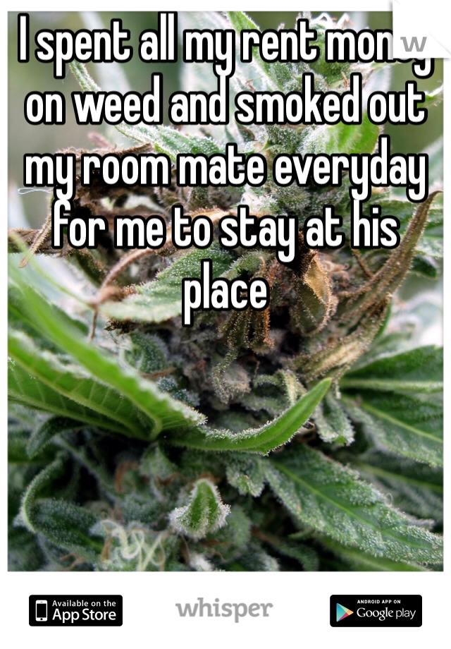 I spent all my rent money on weed and smoked out my room mate everyday for me to stay at his place