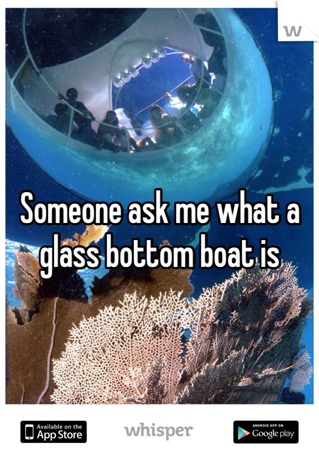 Someone ask me what a glass bottom boat is 