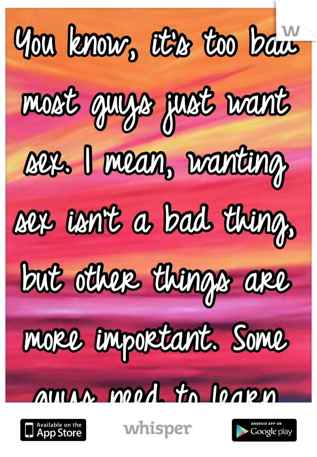You know, it's too bad most guys just want sex. I mean, wanting sex isn't a bad thing, but other things are more important. Some guys need to learn that. I just want to find one that wants to get to know me.