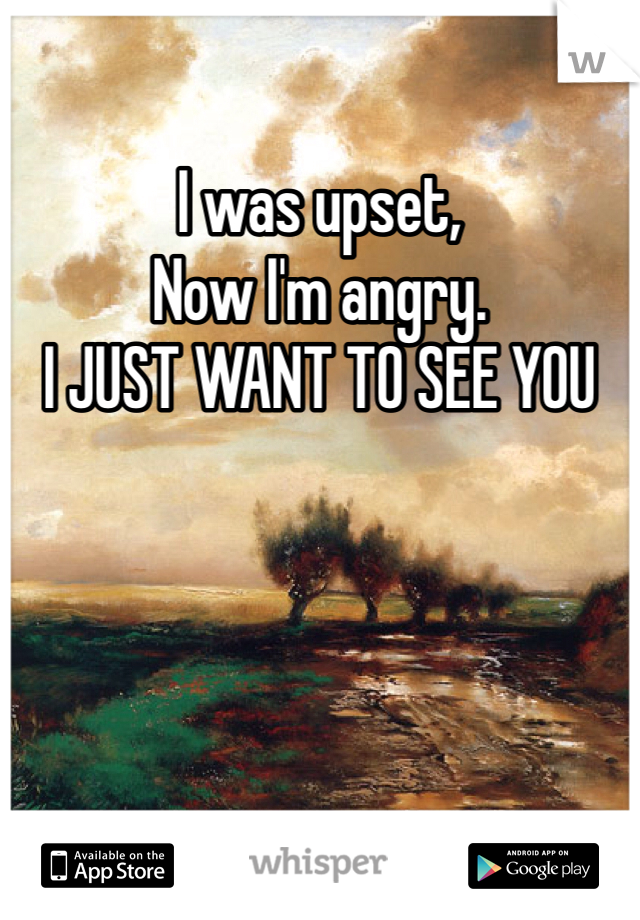 I was upset,
Now I'm angry.
I JUST WANT TO SEE YOU