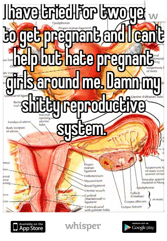 I have tried for two years to get pregnant and I can't help but hate pregnant girls around me. Damn my shitty reproductive system. 