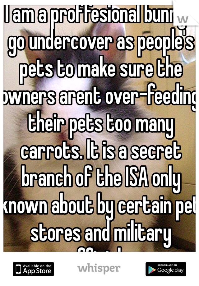 I am a proffesional bunny. I go undercover as people's pets to make sure the owners arent over-feeding their pets too many carrots. It is a secret branch of the ISA only known about by certain pet stores and military officials.