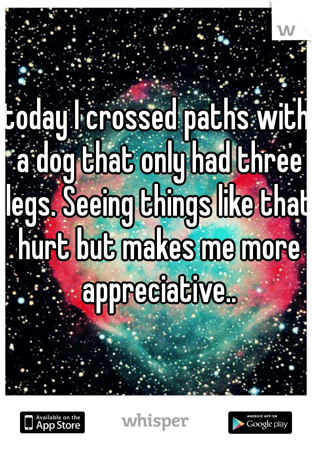 today I crossed paths with a dog that only had three legs. Seeing things like that hurt but makes me more appreciative..