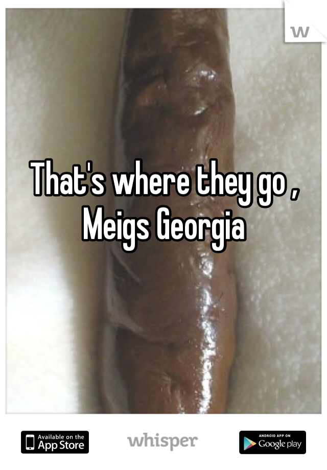 That's where they go , Meigs Georgia 