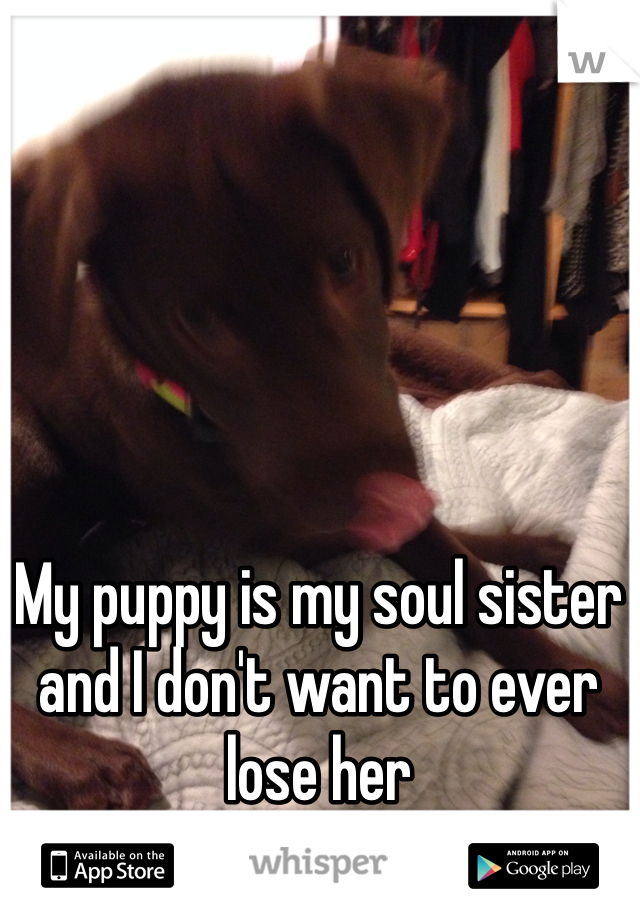 My puppy is my soul sister and I don't want to ever lose her