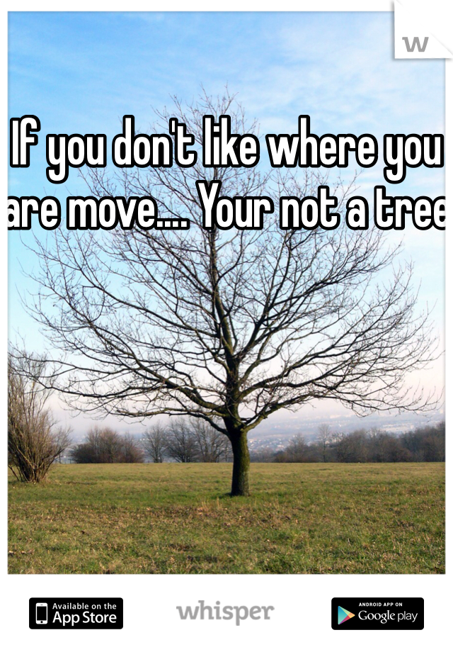 If you don't like where you are move.... Your not a tree