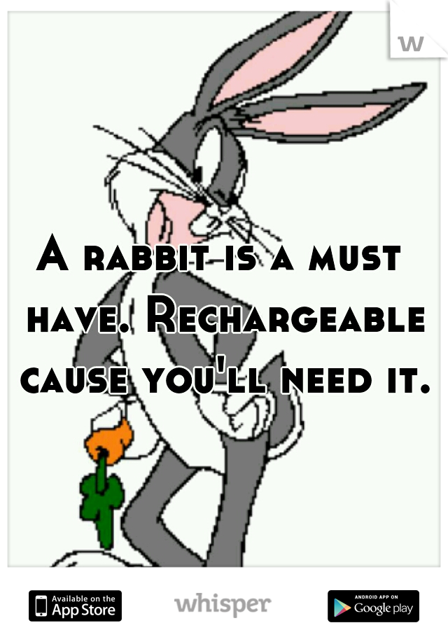 A rabbit is a must have. Rechargeable cause you'll need it.