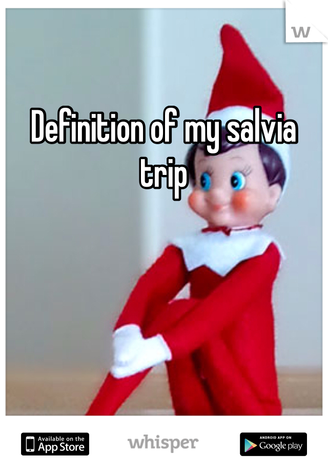 Definition of my salvia trip 