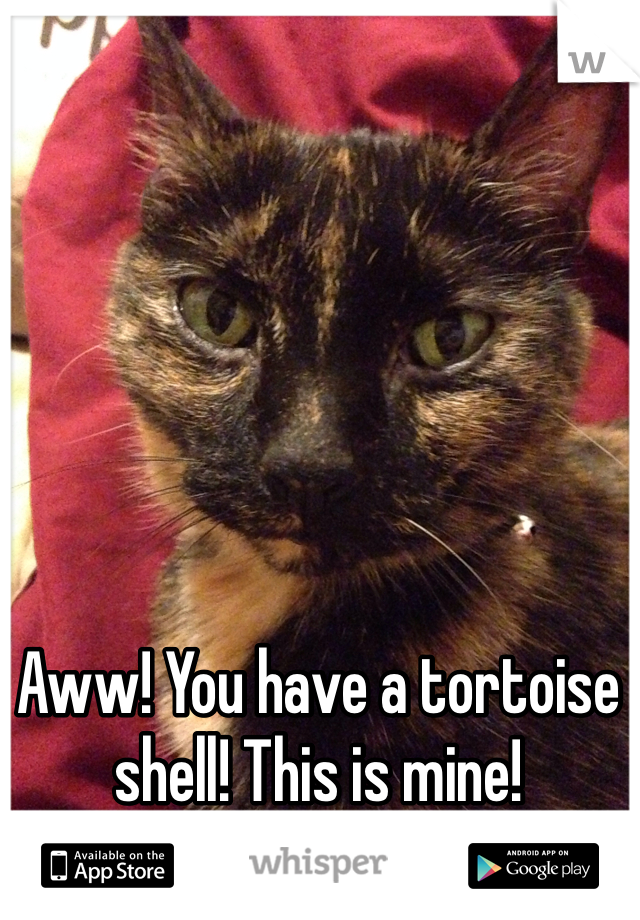 Aww! You have a tortoise shell! This is mine!