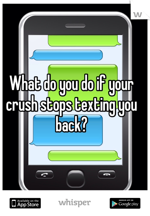 What do you do if your crush stops texting you back?