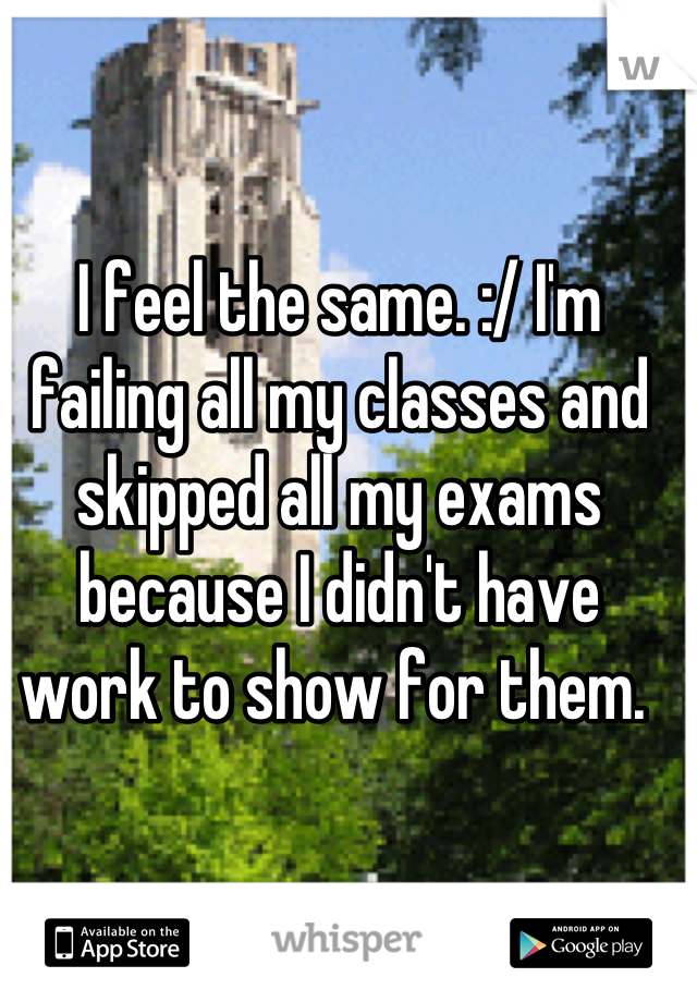 I feel the same. :/ I'm failing all my classes and skipped all my exams because I didn't have work to show for them. 