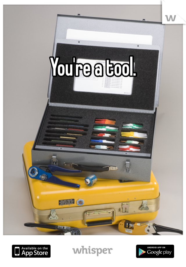 You're a tool. 