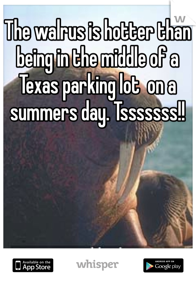 The walrus is hotter than being in the middle of a Texas parking lot  on a summers day. Tsssssss!!
