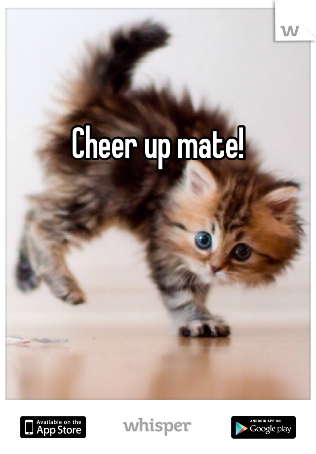 Cheer up mate!