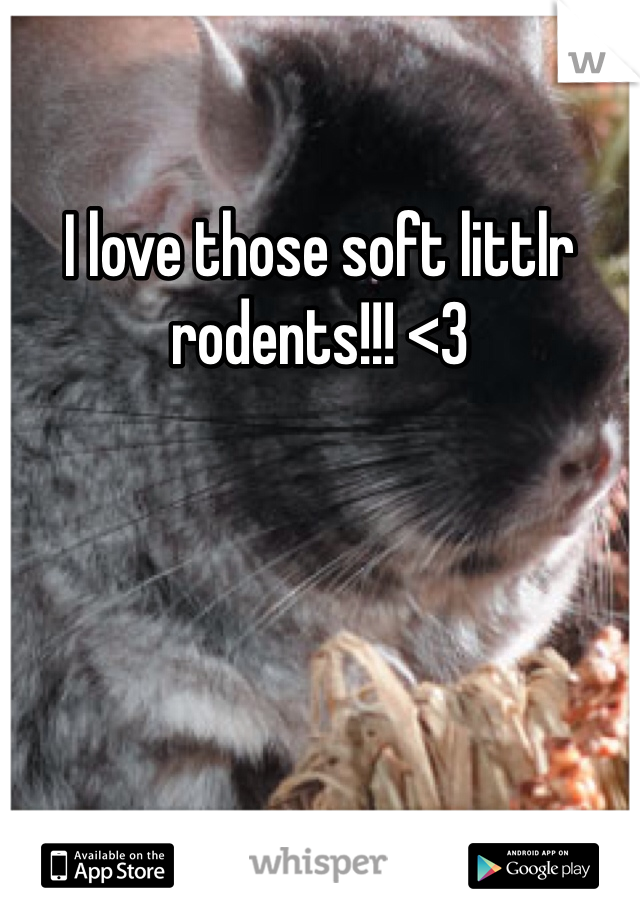 I love those soft littlr rodents!!! <3