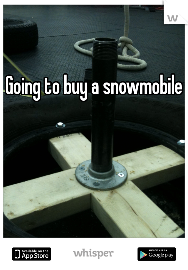 Going to buy a snowmobile