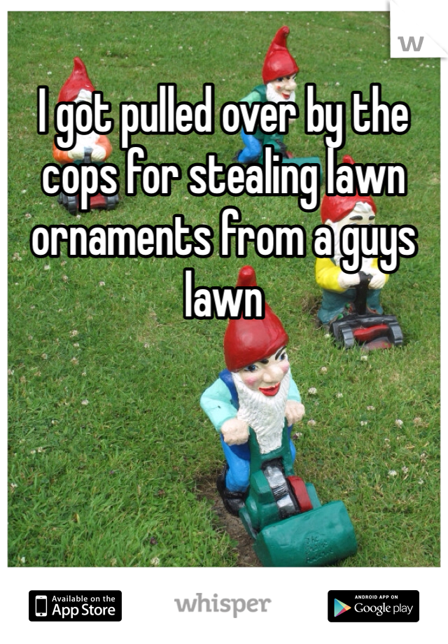 I got pulled over by the cops for stealing lawn ornaments from a guys lawn
