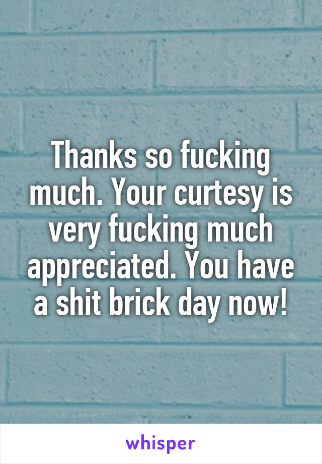 Thanks so fucking much. Your curtesy is very fucking much appreciated. You have a shit brick day now!