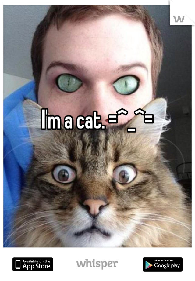 I'm a cat. =^_^=