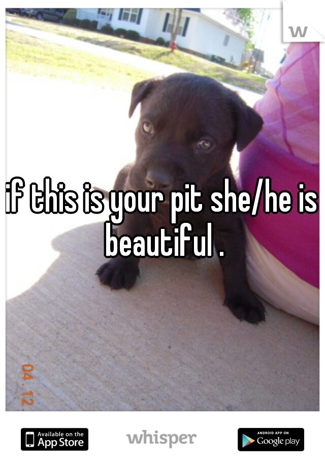 if this is your pit she/he is beautiful .