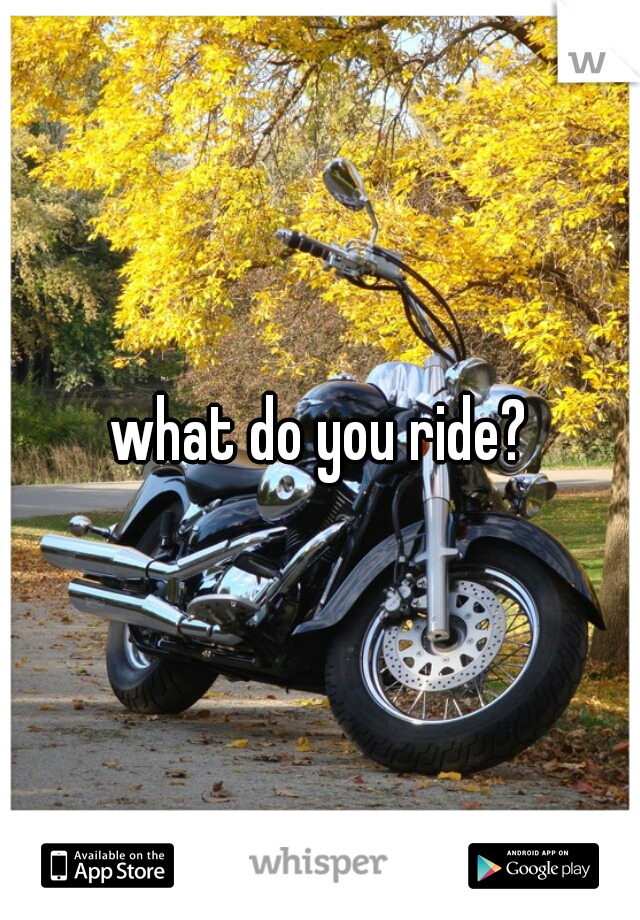 what do you ride?