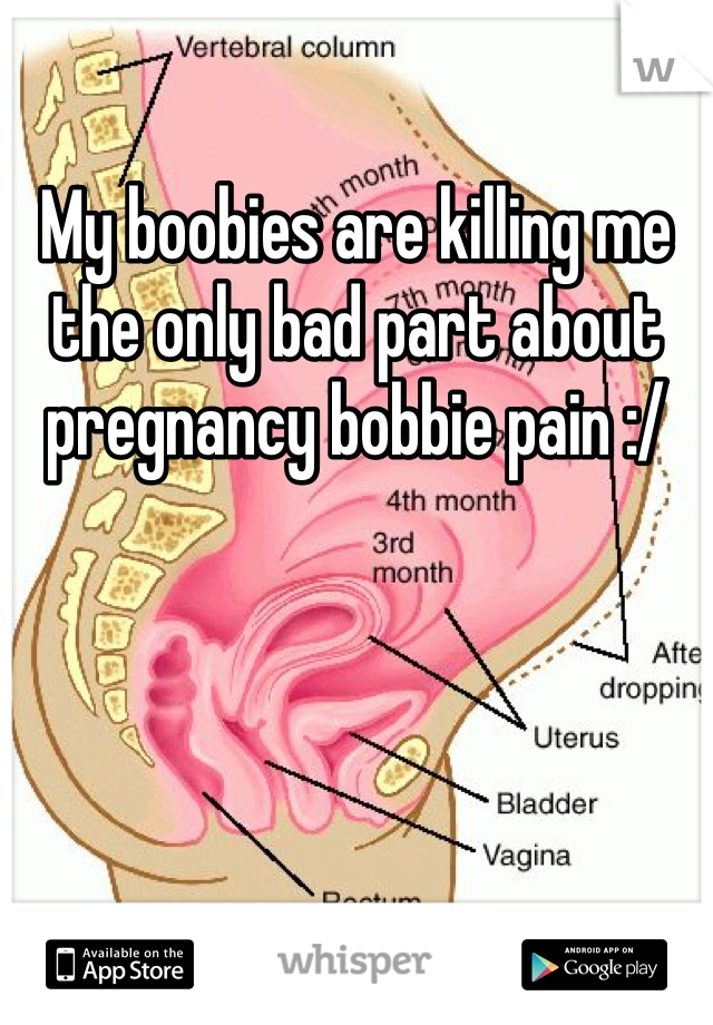 My boobies are killing me the only bad part about pregnancy bobbie pain :/