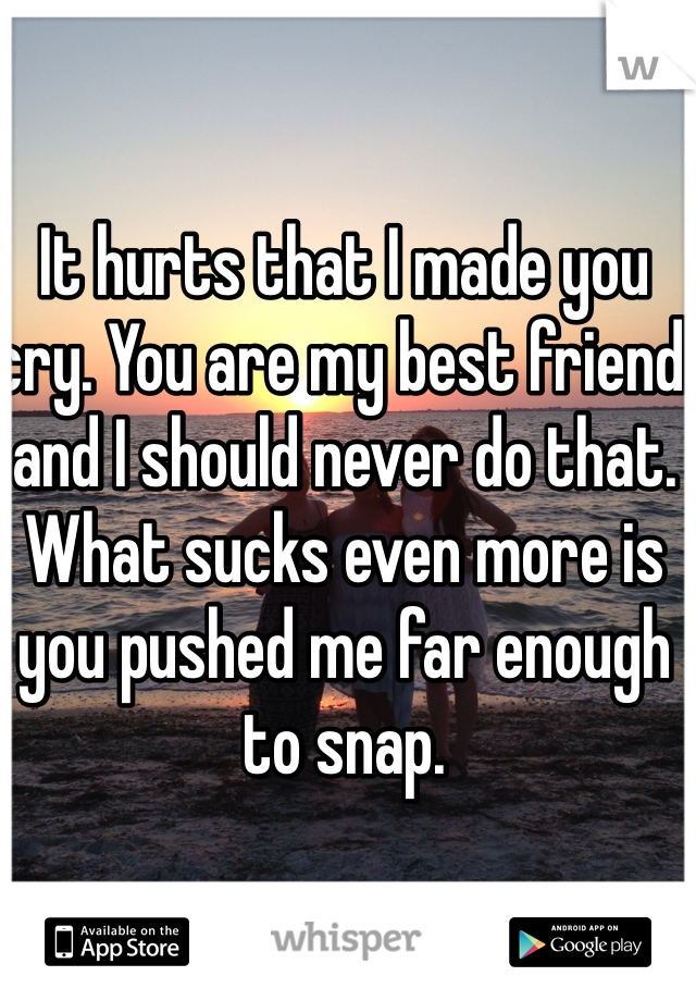 It hurts that I made you cry. You are my best friend and I should never do that. What sucks even more is you pushed me far enough to snap. 