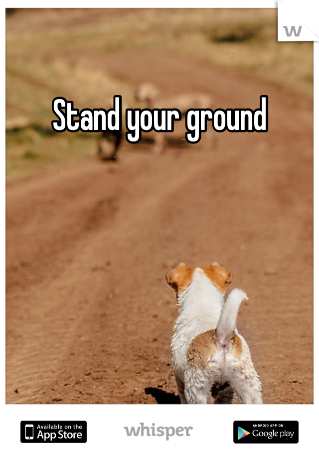 Stand your ground 