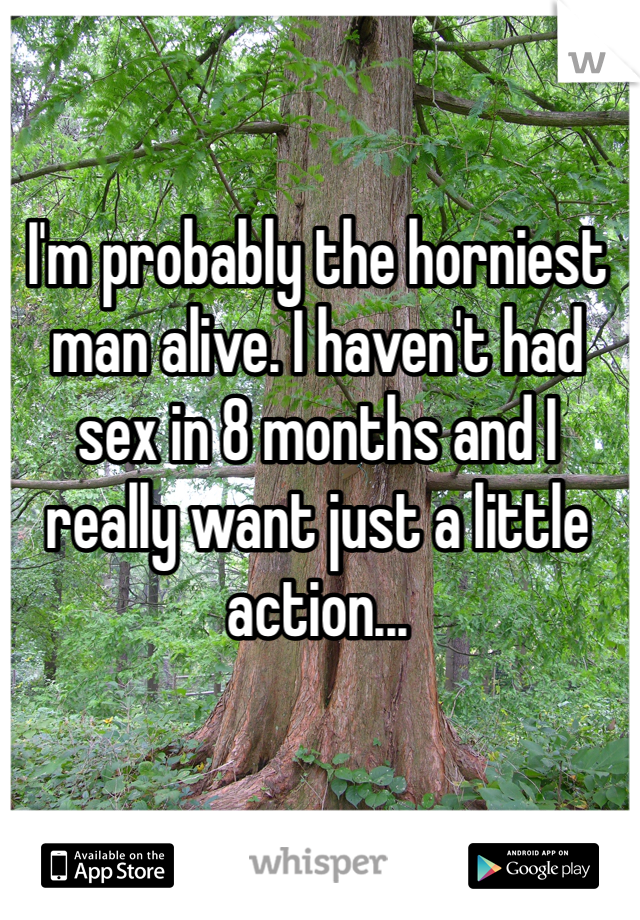 I'm probably the horniest man alive. I haven't had sex in 8 months and I really want just a little action...