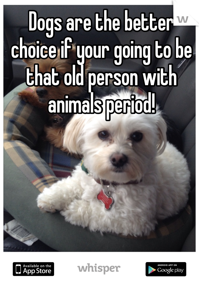 Dogs are the better choice if your going to be that old person with animals period! 