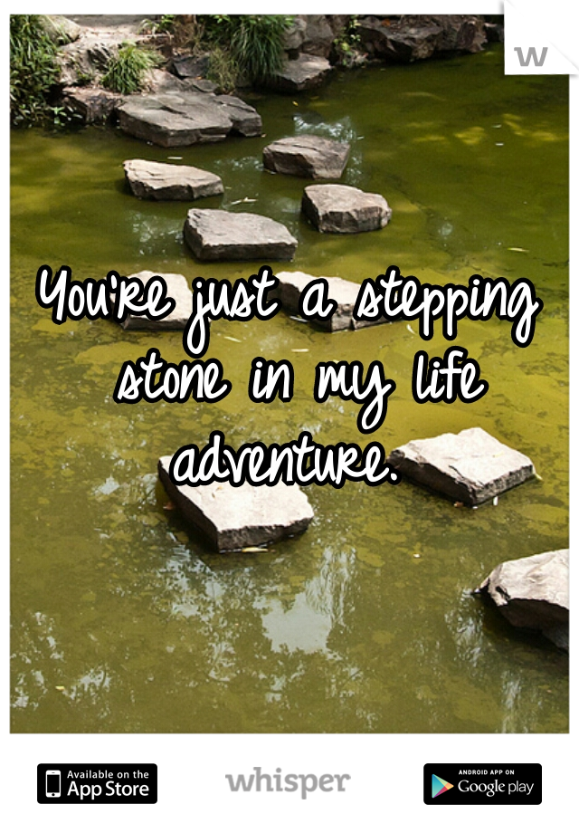 You're just a stepping stone in my life adventure. 