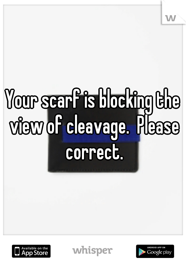 Your scarf is blocking the view of cleavage.  Please correct.