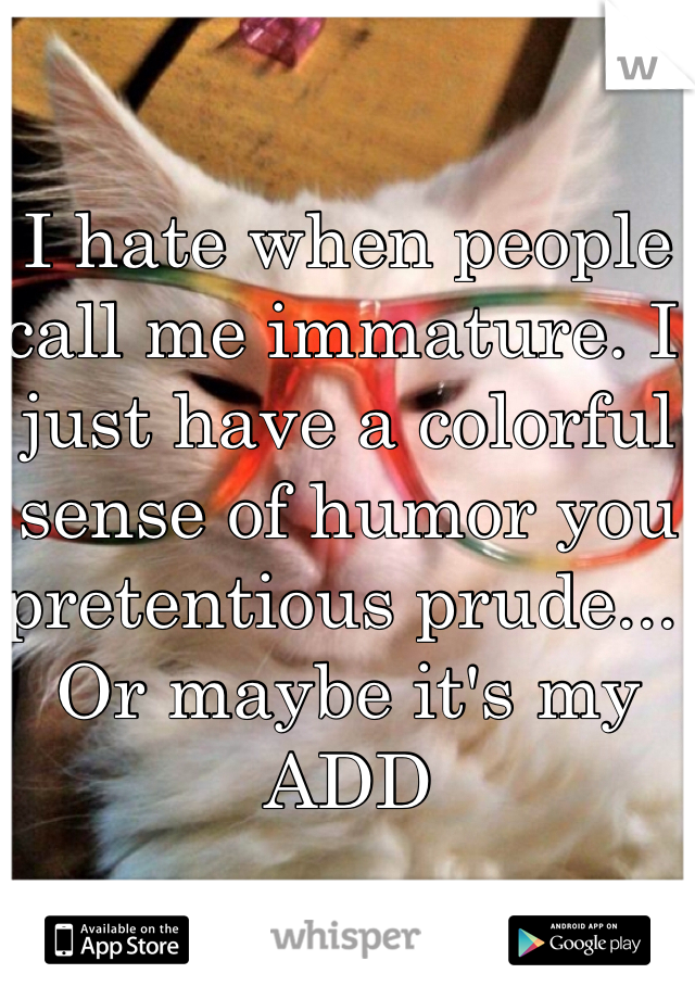 I hate when people call me immature. I just have a colorful sense of humor you pretentious prude... Or maybe it's my ADD