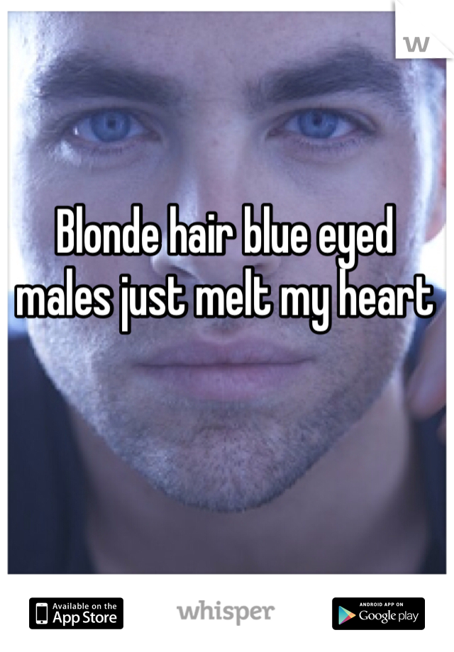 Blonde hair blue eyed males just melt my heart 