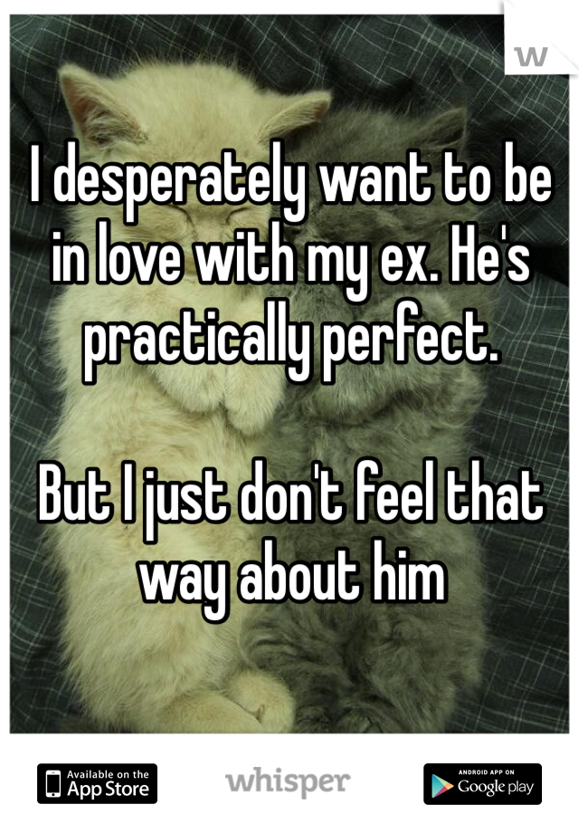 I desperately want to be in love with my ex. He's practically perfect. 

But I just don't feel that way about him