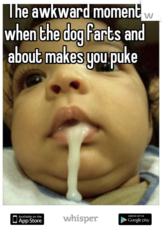 The awkward moment when the dog farts and about makes you puke 