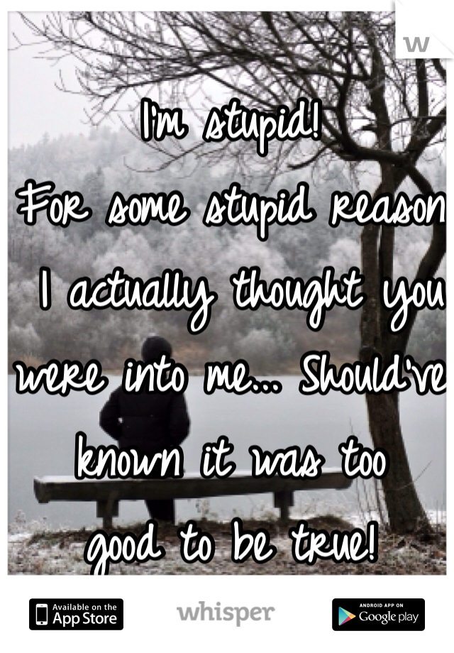 I'm stupid! 
For some stupid reason
 I actually thought you were into me... Should've
known it was too 
good to be true!