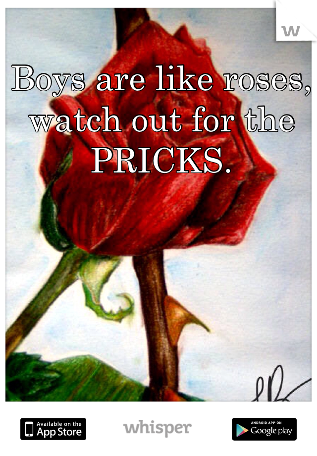 Boys are like roses, watch out for the PRICKS. 