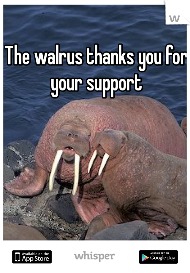 The walrus thanks you for your support