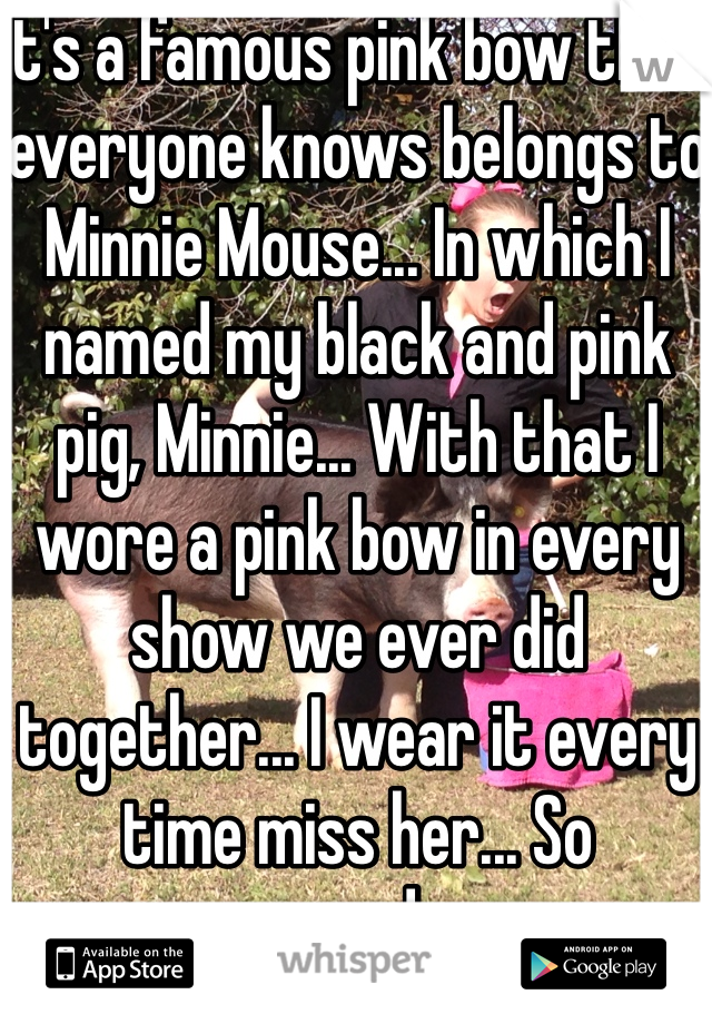 It's a famous pink bow that everyone knows belongs to Minnie Mouse... In which I named my black and pink pig, Minnie... With that I wore a pink bow in every show we ever did together... I wear it every time miss her... So everyday