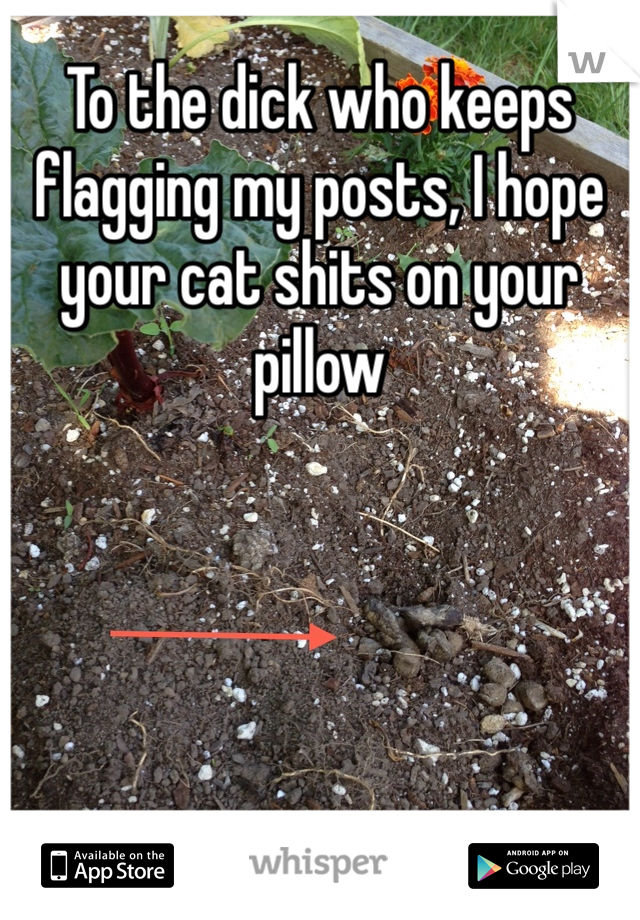 To the dick who keeps flagging my posts, I hope your cat shits on your pillow