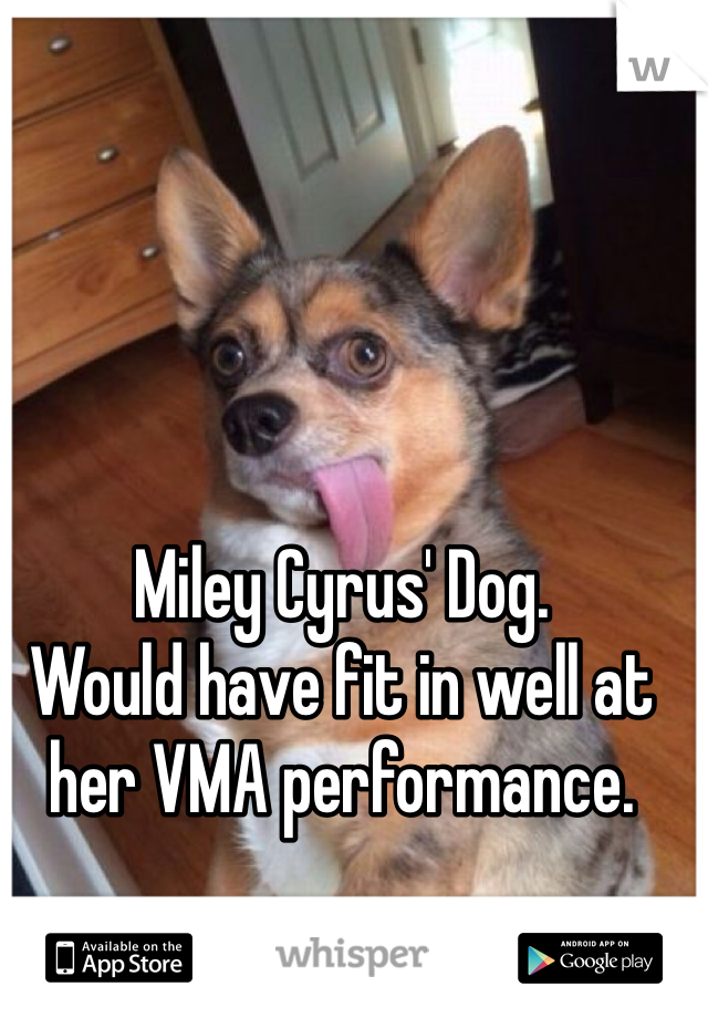 Miley Cyrus' Dog.
Would have fit in well at her VMA performance.