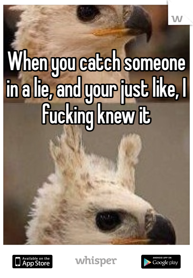 When you catch someone in a lie, and your just like, I fucking knew it 