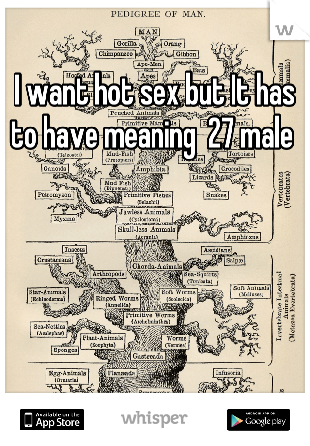 I want hot sex but It has to have meaning  27 male 