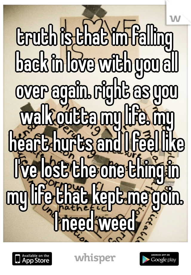 truth is that im falling back in love with you all over again. right as you walk outta my life. my heart hurts and I feel like I've lost the one thing in my life that kept me goin.  I need weed 