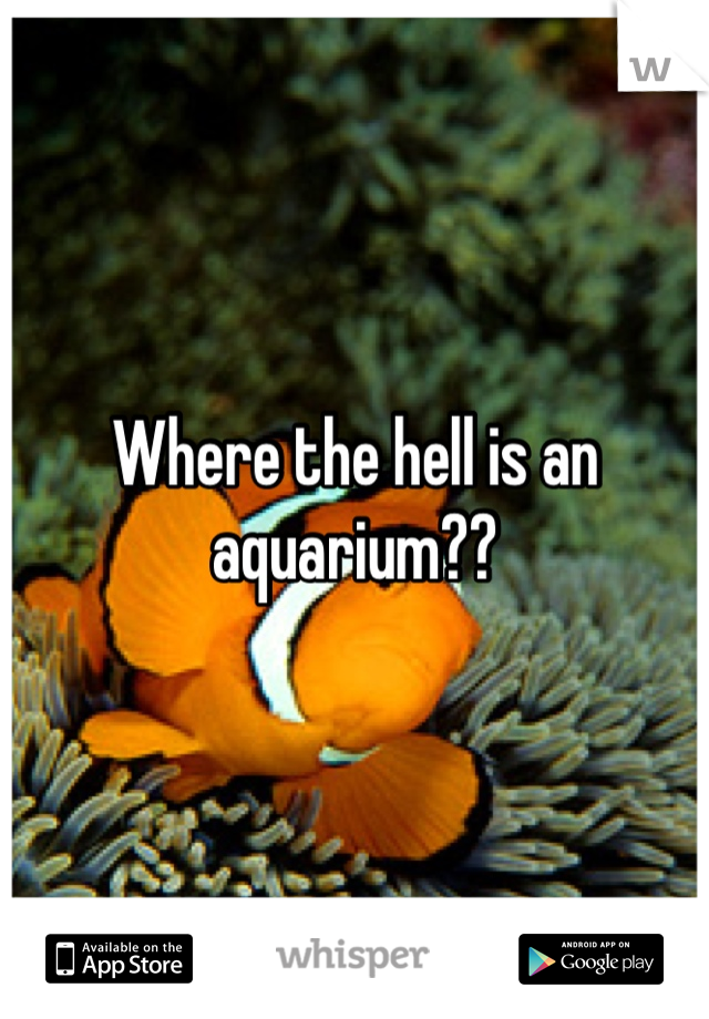 Where the hell is an aquarium??